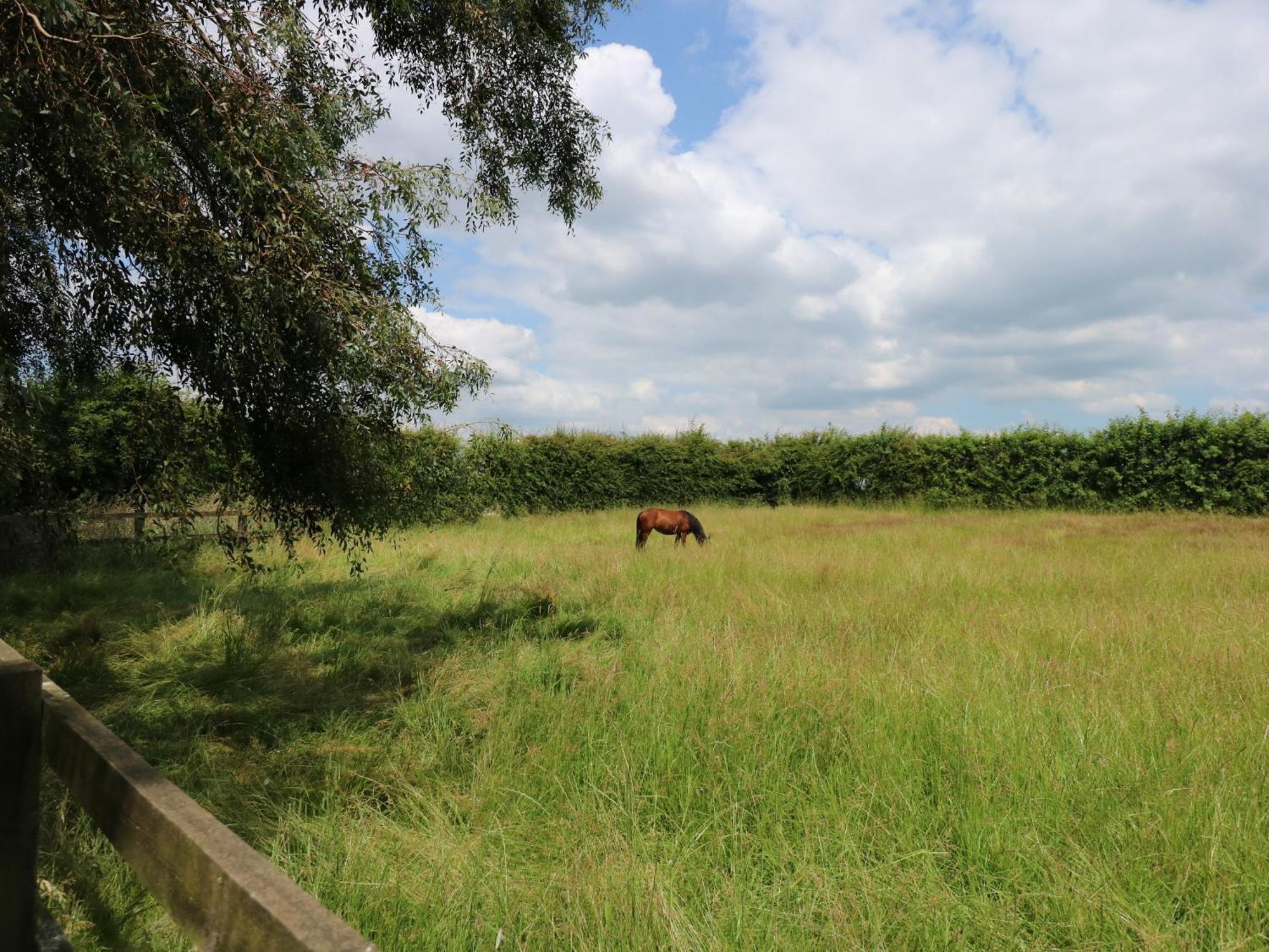 The Granary *